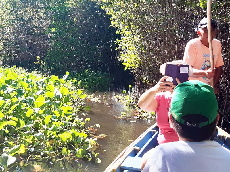 Mangrove & Birdwatching tours