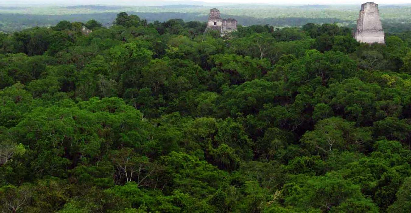 Tikal National Park/Parque Nacional Tikal